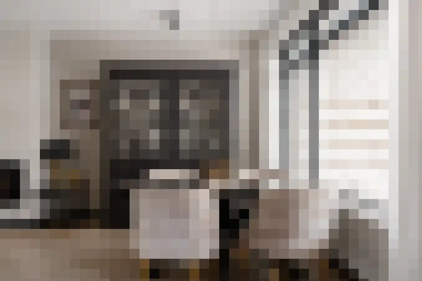 de Leegte 115 Epe thumbnail 9