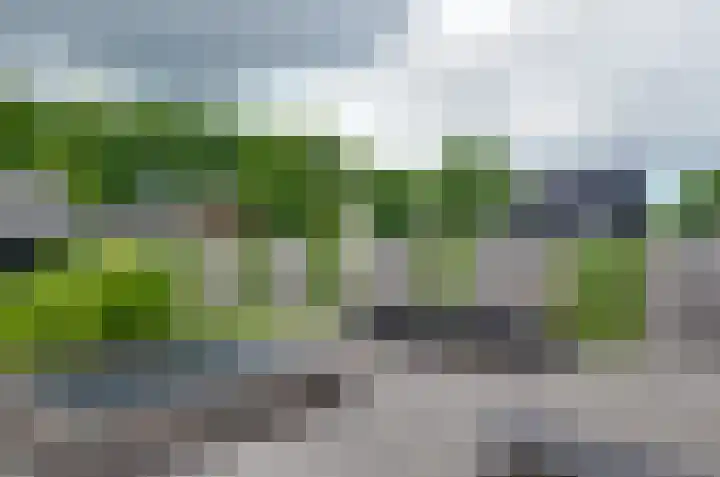 De Leek 14 B Beilen thumbnail 34