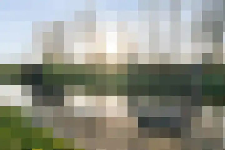 De Leek 16 A Beilen thumbnail 48