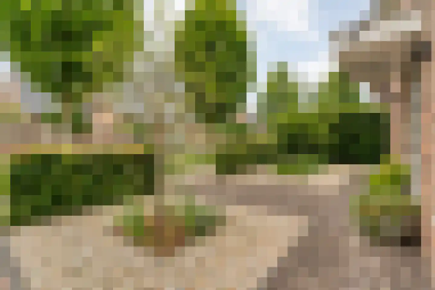 De Leemkoele 11 Gramsbergen thumbnail 10