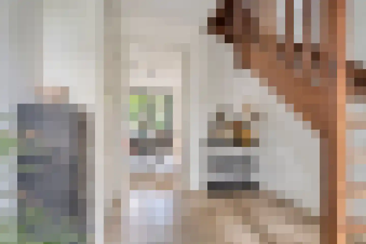 De Leemkoele 11 Gramsbergen thumbnail 15