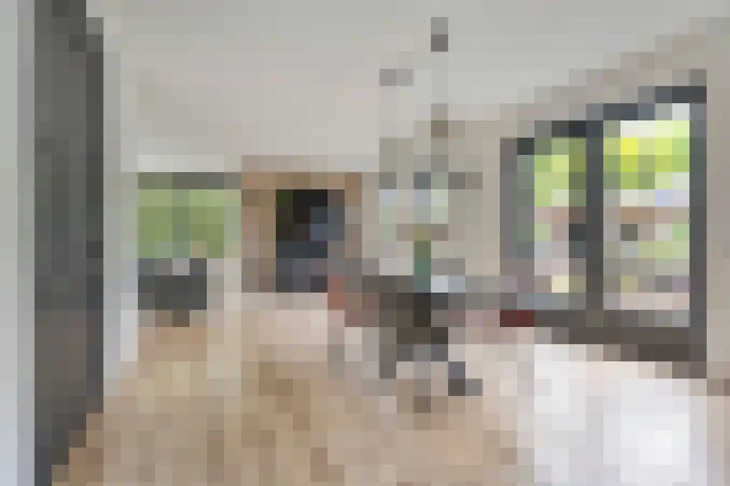 De Leemkoele 11 Gramsbergen thumbnail 16