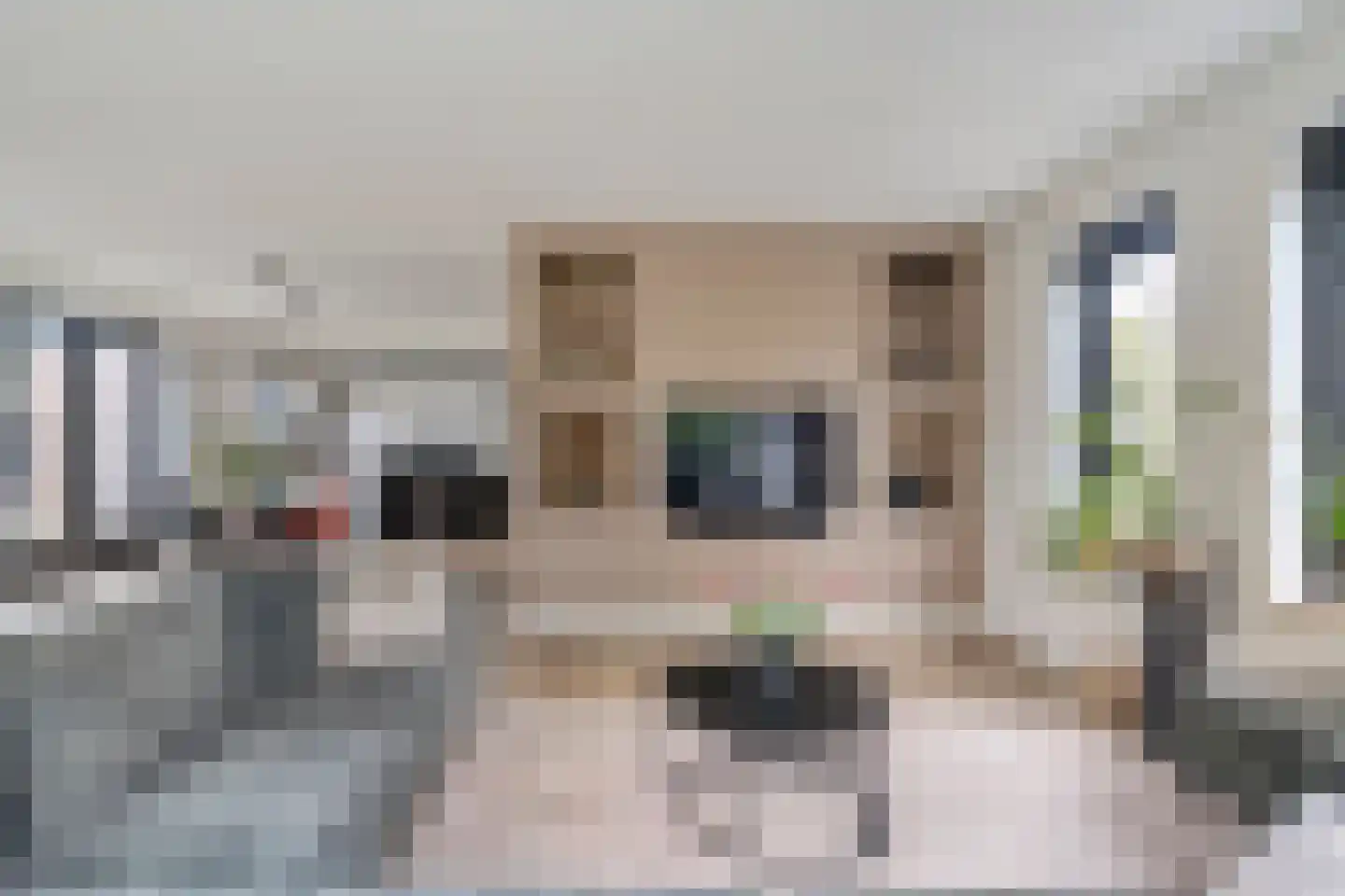 De Leemkoele 11 Gramsbergen thumbnail 21