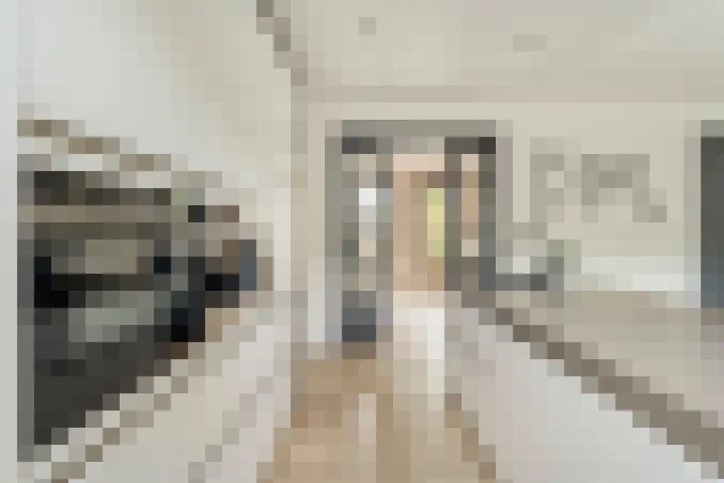 De Leemkoele 11 Gramsbergen thumbnail 26