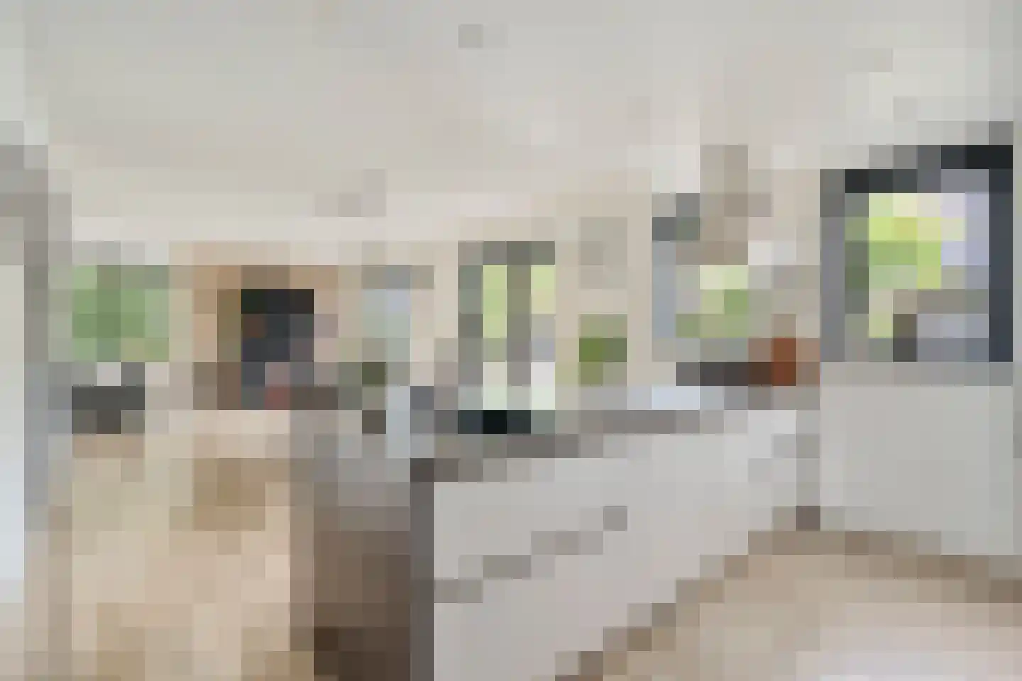 De Leemkoele 11 Gramsbergen thumbnail 27