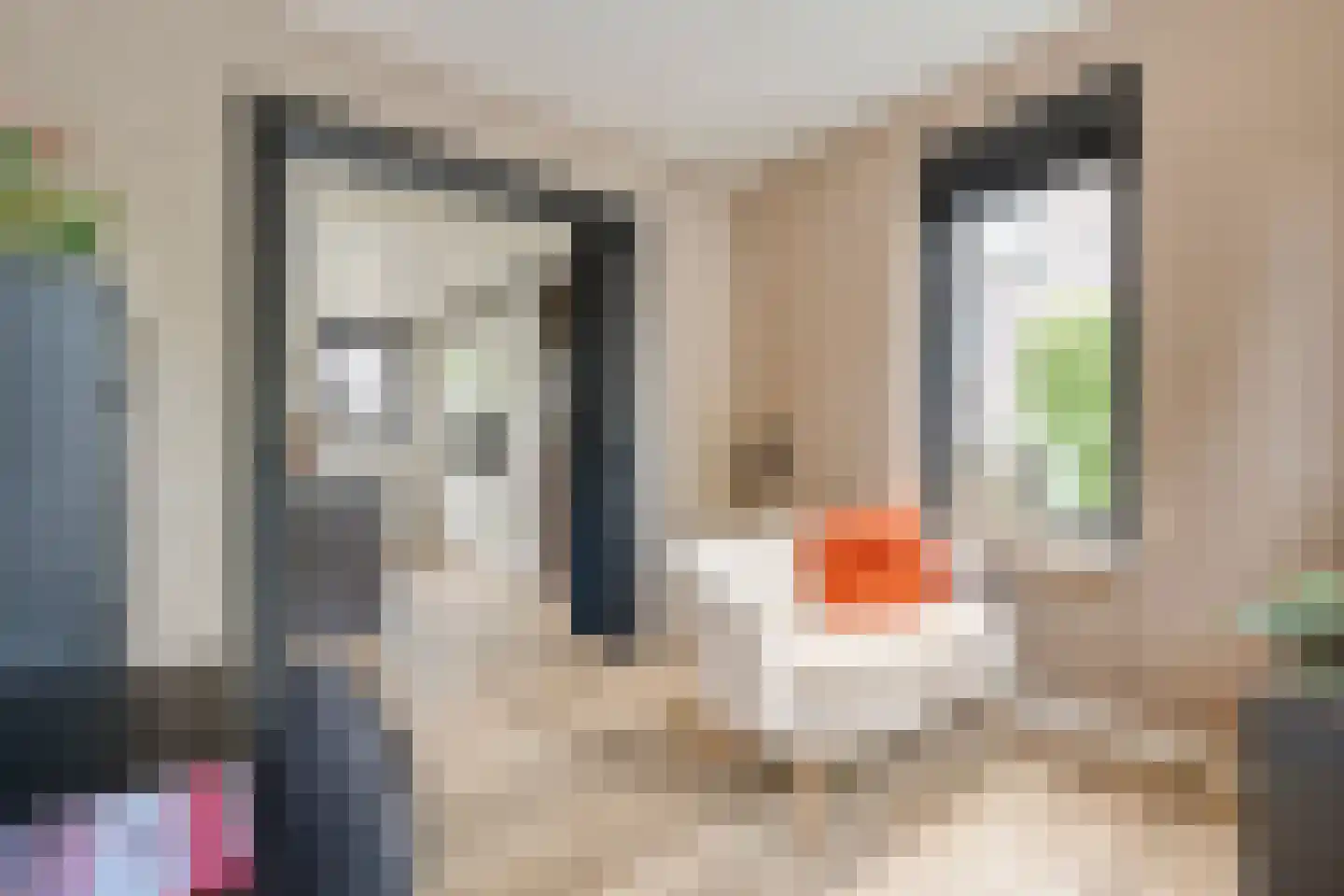 De Leemkoele 11 Gramsbergen thumbnail 31