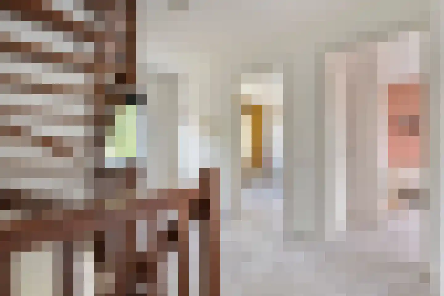 De Leemkoele 11 Gramsbergen thumbnail 36