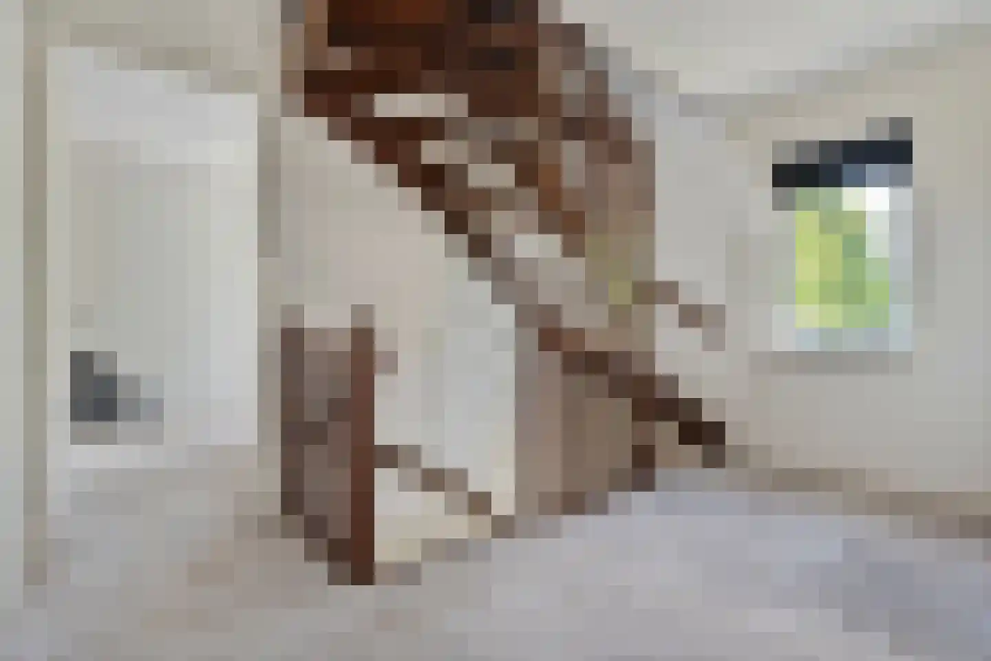De Leemkoele 11 Gramsbergen thumbnail 37