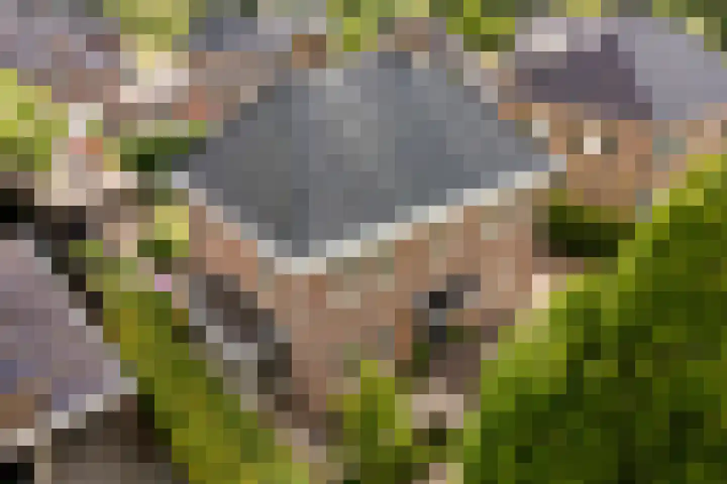 De Leemkoele 11 Gramsbergen thumbnail 4