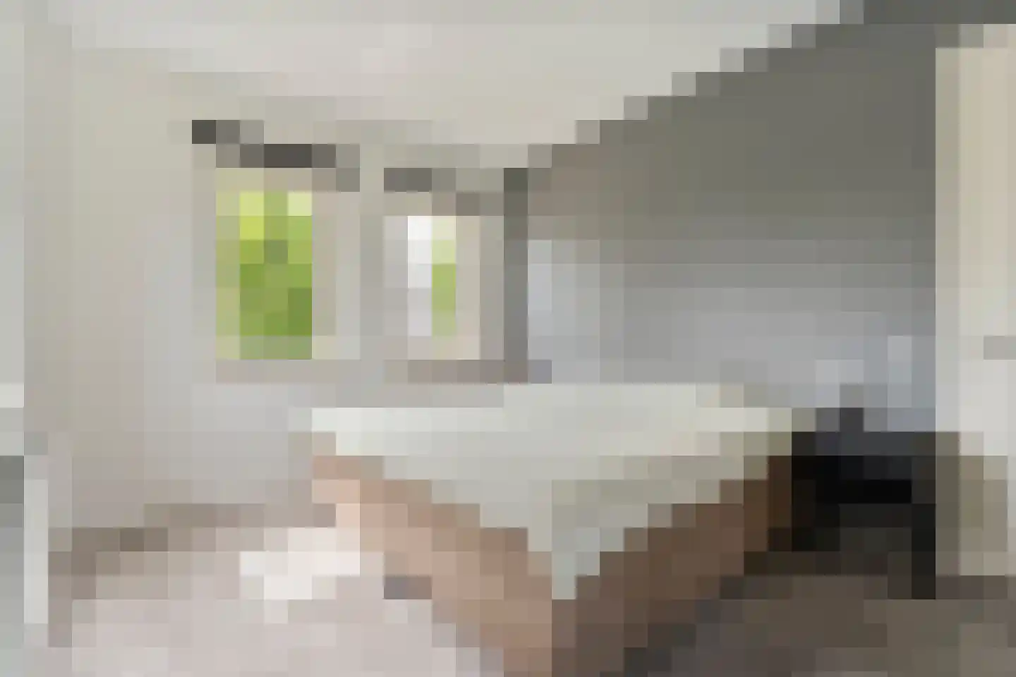 De Leemkoele 11 Gramsbergen thumbnail 40