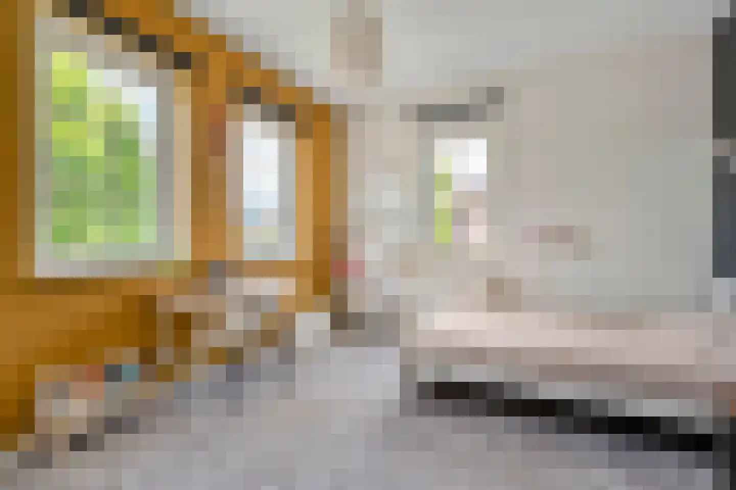 De Leemkoele 11 Gramsbergen thumbnail 42