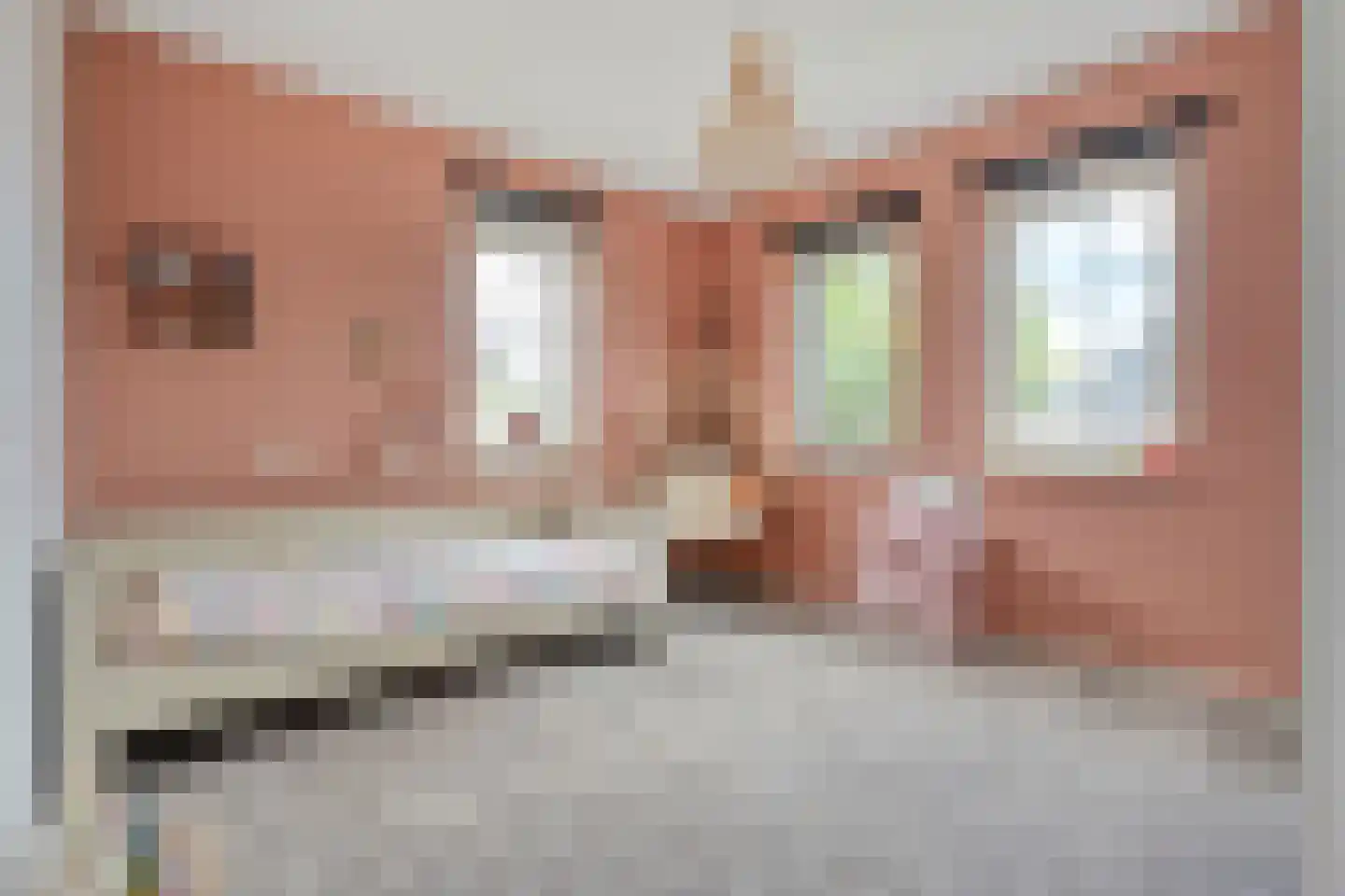 De Leemkoele 11 Gramsbergen thumbnail 44