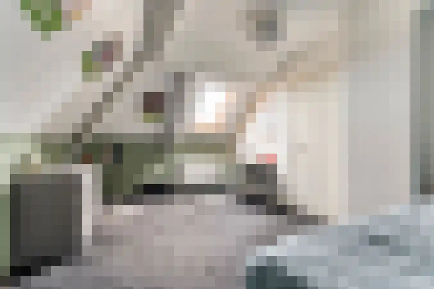 De Leemkoele 11 Gramsbergen thumbnail 55