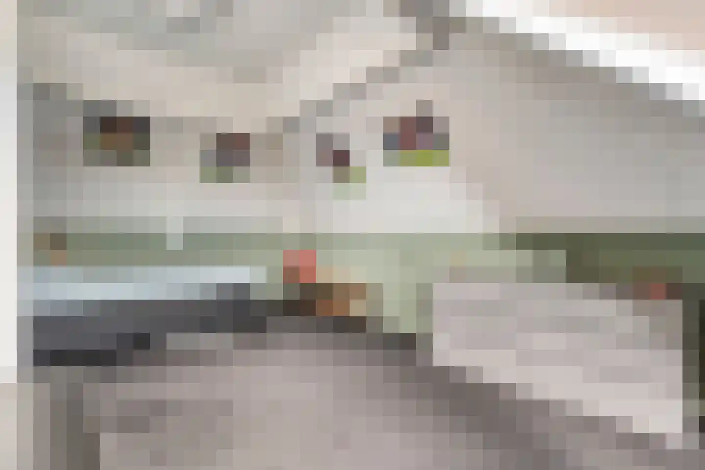 De Leemkoele 11 Gramsbergen thumbnail 56