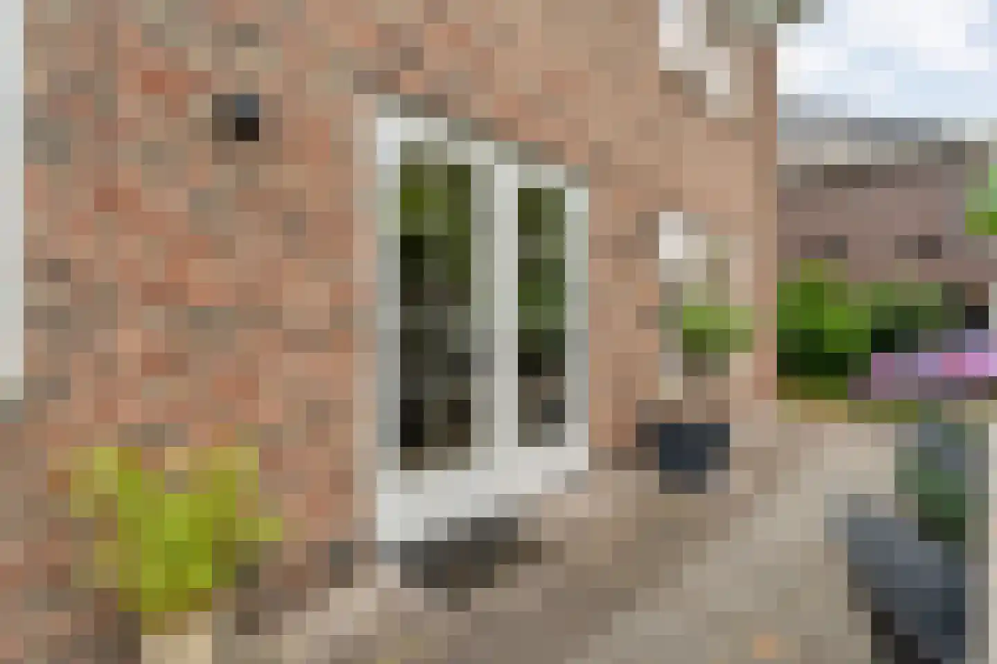 De Leemkoele 11 Gramsbergen thumbnail 58