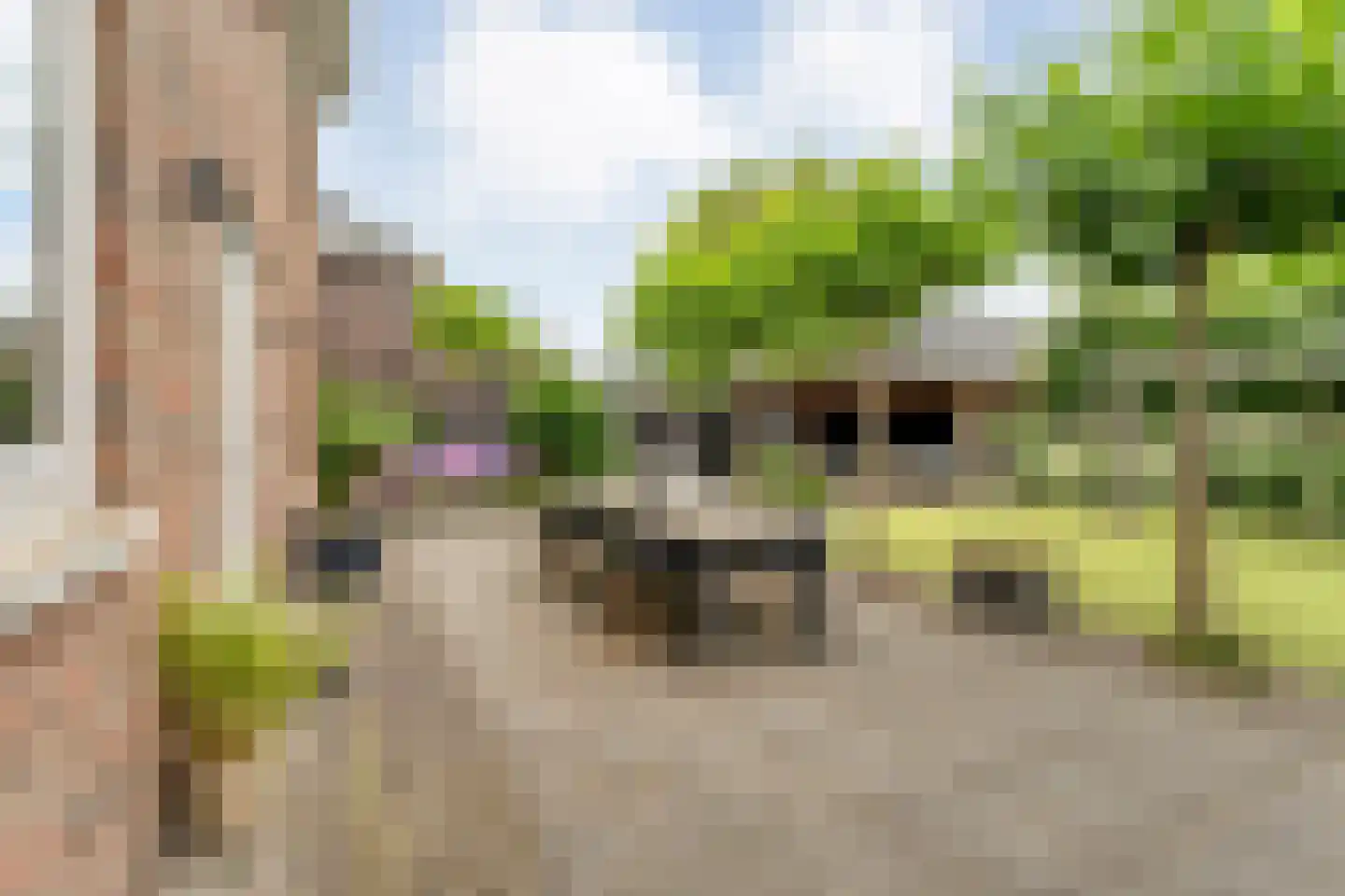 De Leemkoele 11 Gramsbergen thumbnail 59