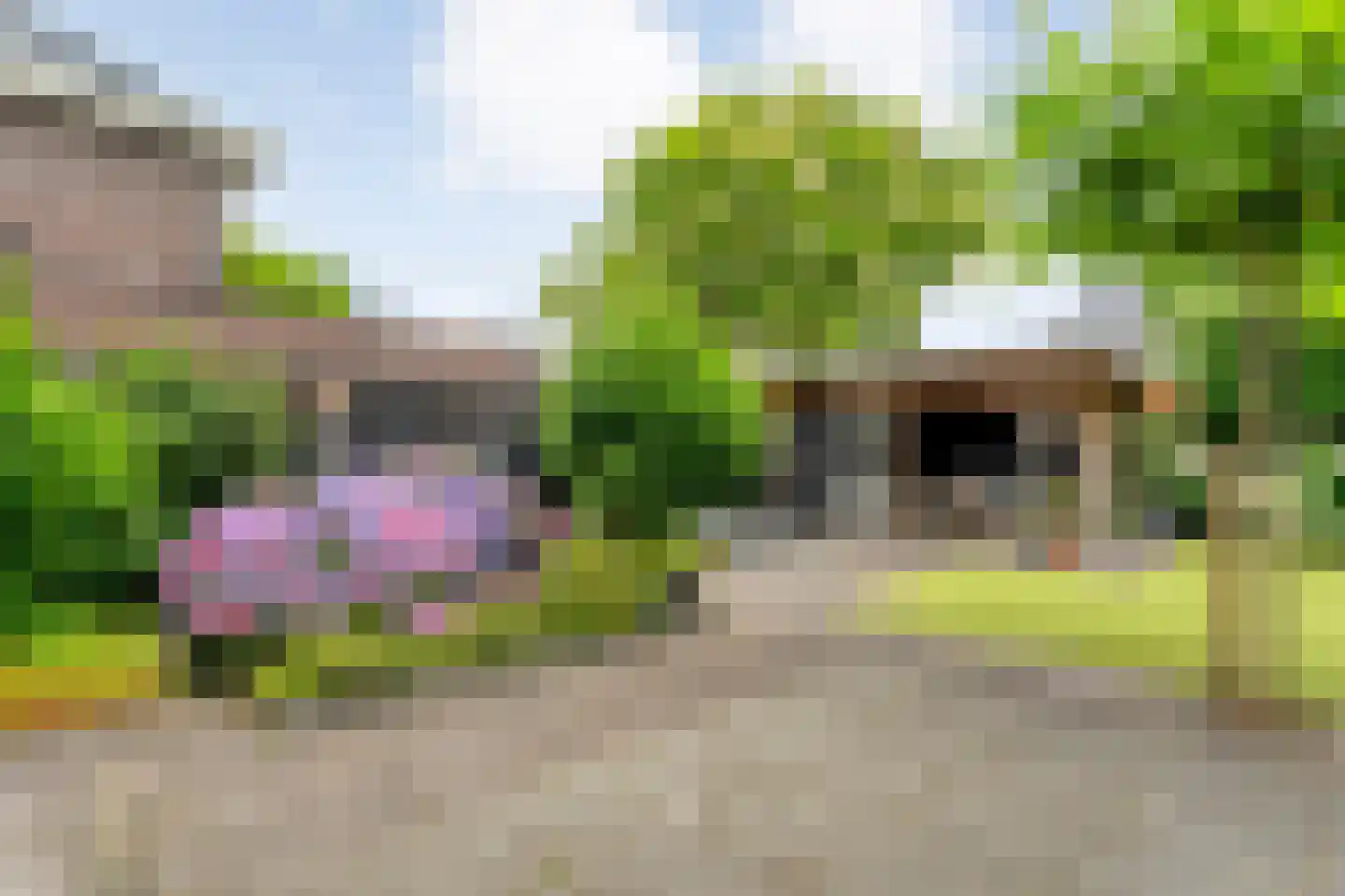 De Leemkoele 11 Gramsbergen thumbnail 60