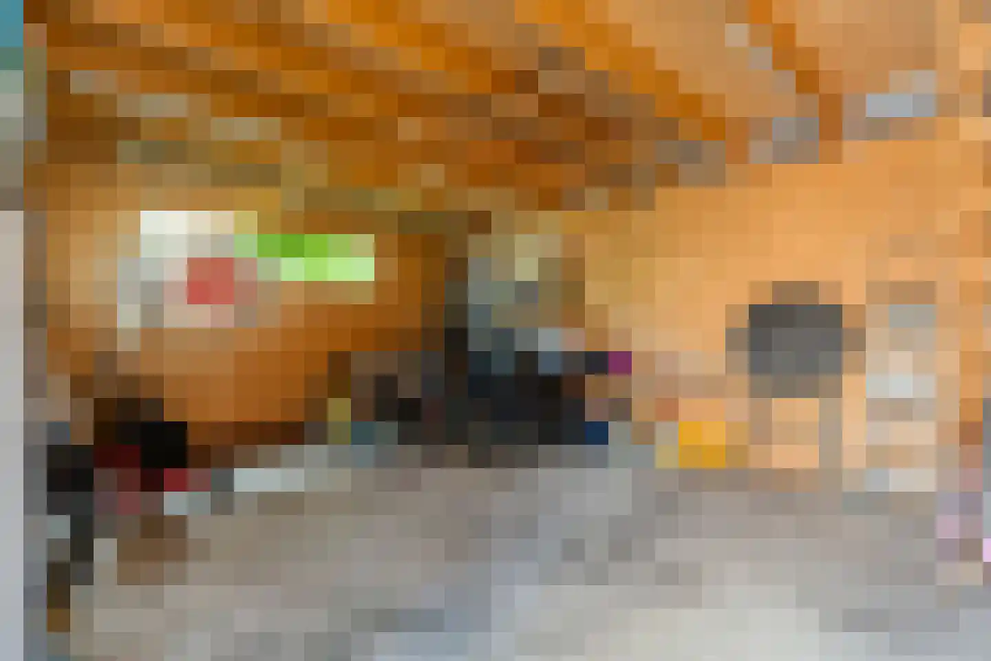 De Leemkoele 11 Gramsbergen thumbnail 68