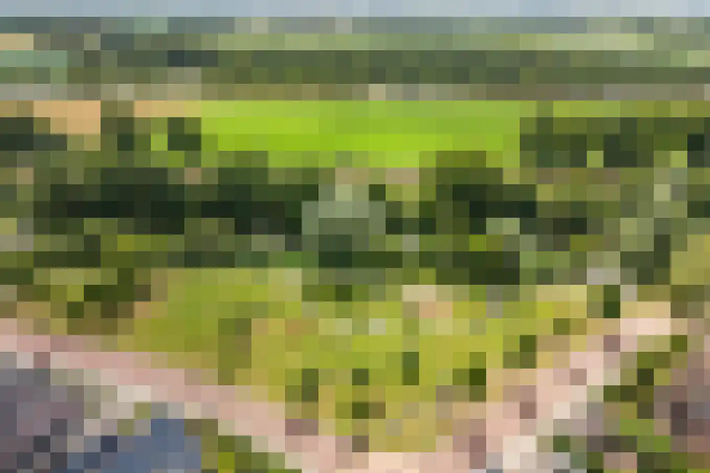 De Leemkoele 11 Gramsbergen thumbnail 7