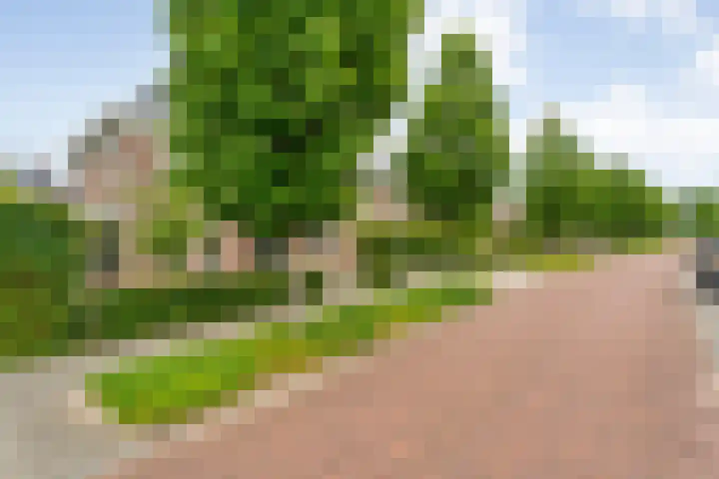 De Leemkoele 11 Gramsbergen thumbnail 72