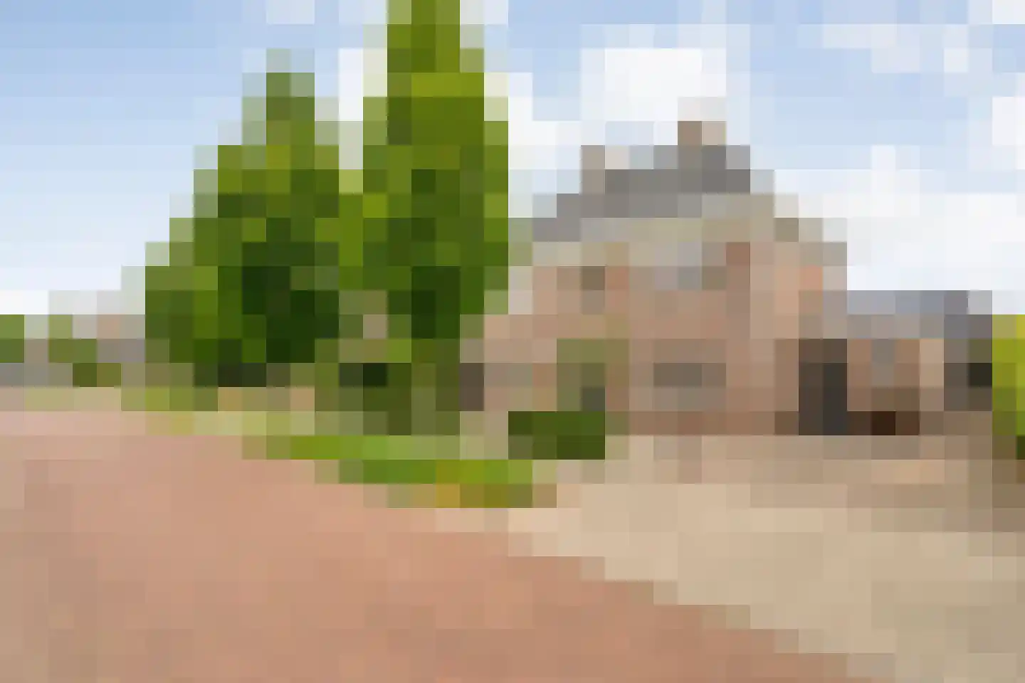 De Leemkoele 11 Gramsbergen thumbnail 8
