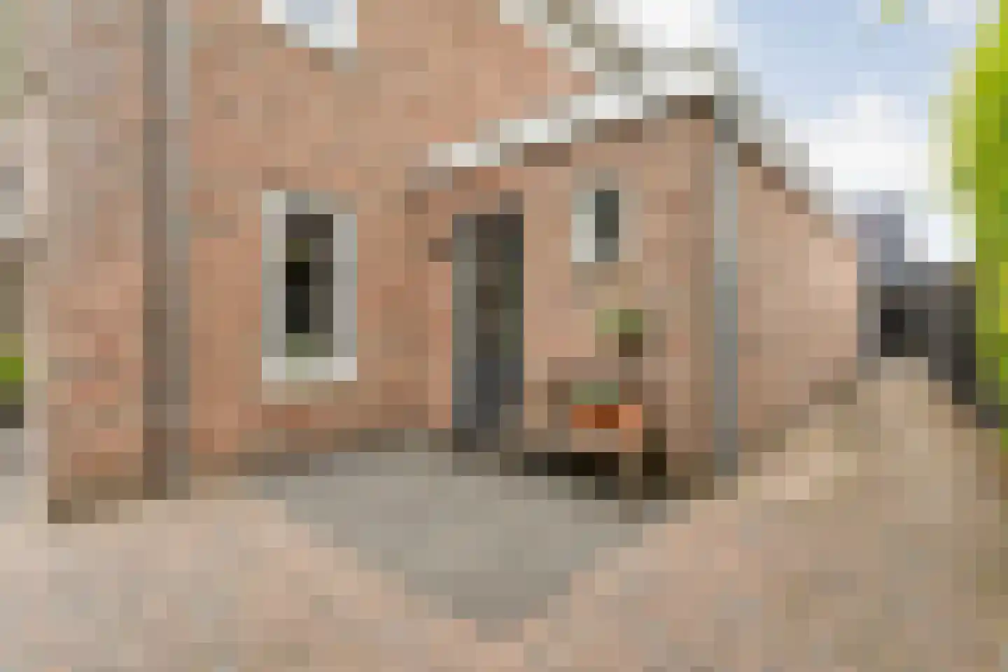De Leemkoele 11 Gramsbergen thumbnail 9