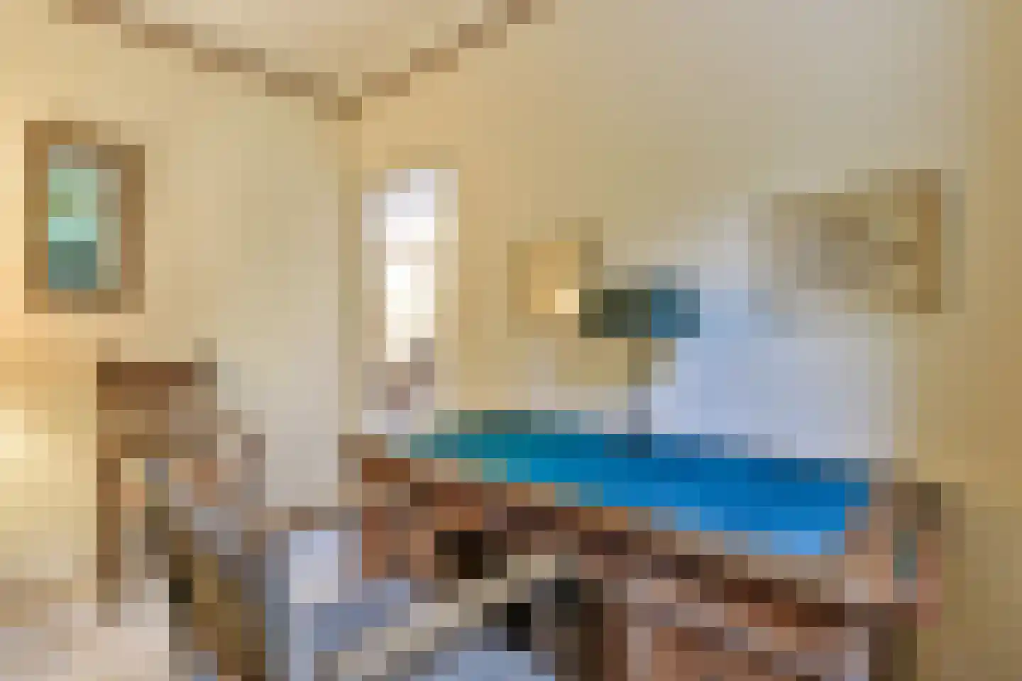 De Leemkuil 6 Laren thumbnail 17