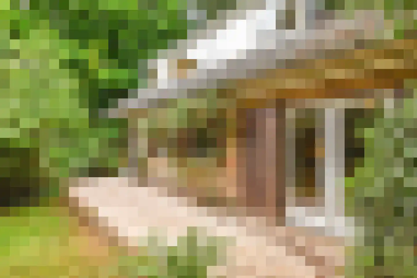 De Leemkuil 6 Laren thumbnail 27