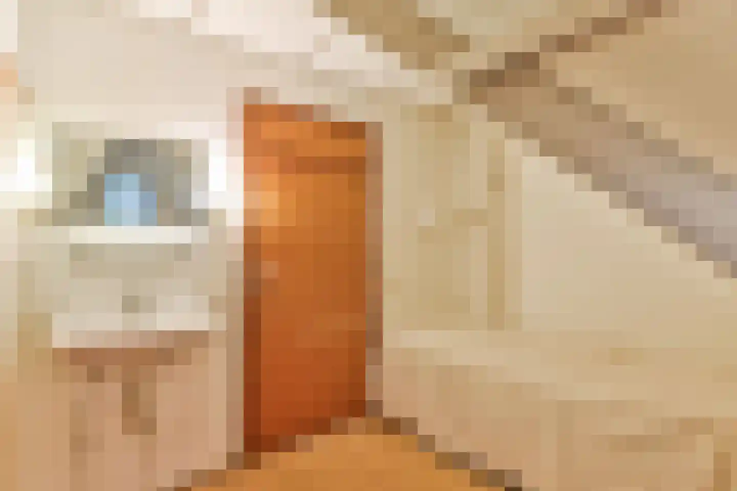 De Leemkuil 6 Laren thumbnail 38