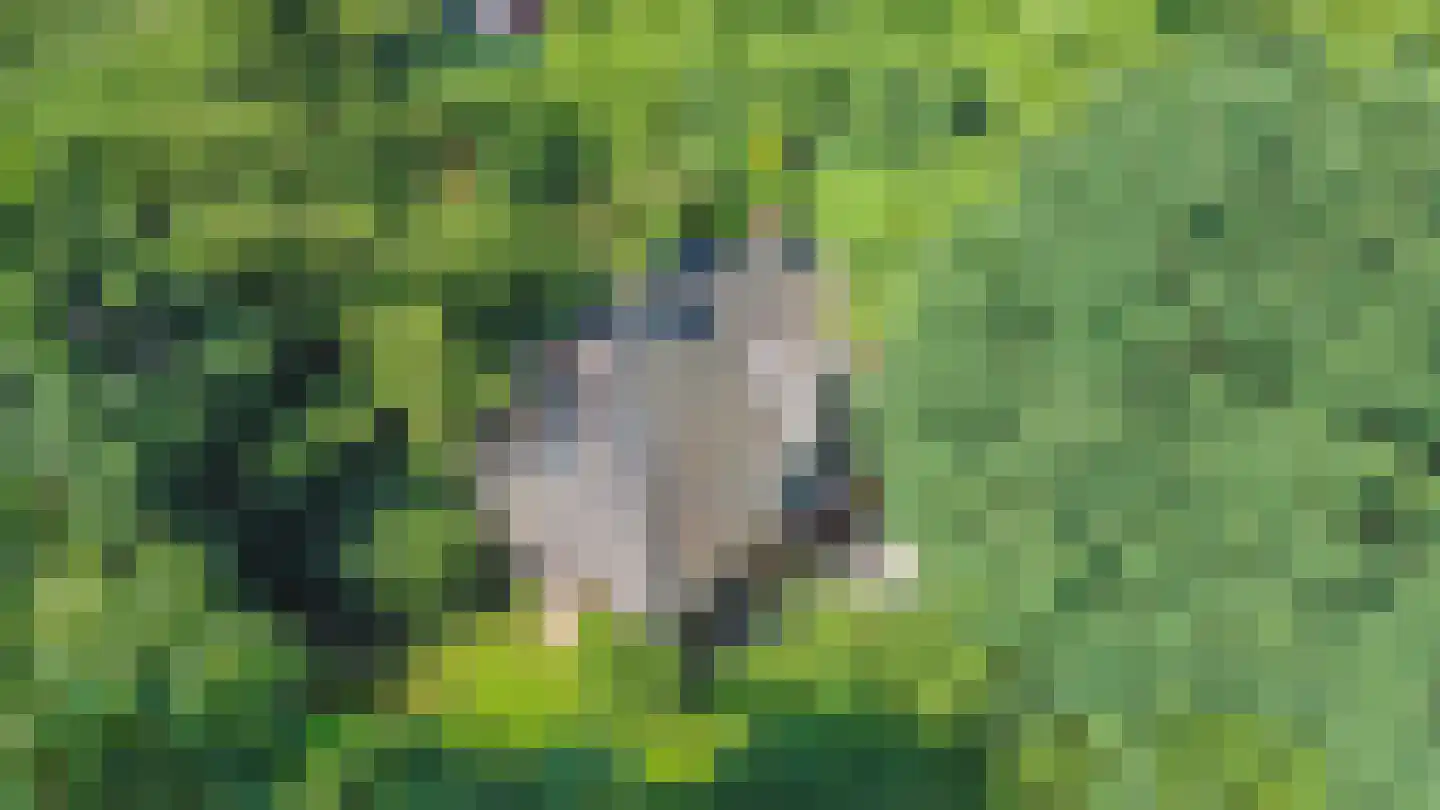 De Leemkuil 6 Laren thumbnail 4