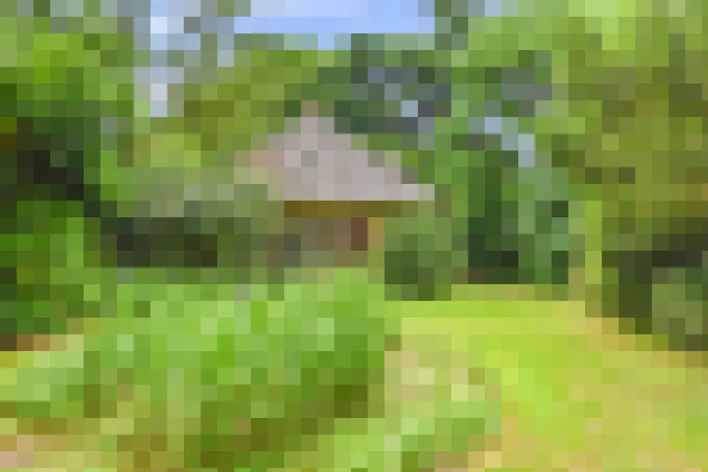 De Leemkuil 6 Laren thumbnail 9