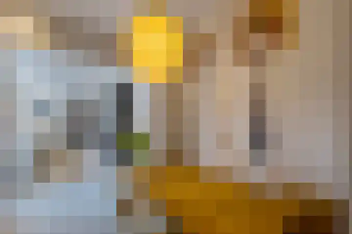 De Leemkuil 9 Laren thumbnail 20