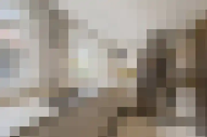 De Leemkuil 9 Laren thumbnail 22