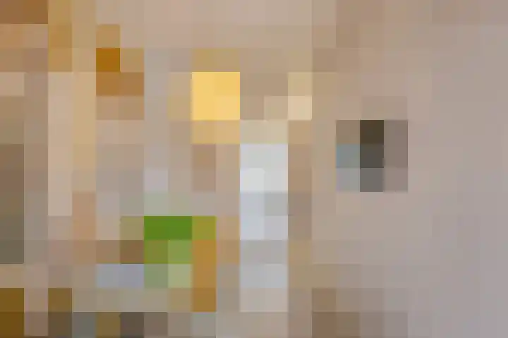 De Leemkuil 9 Laren thumbnail 23