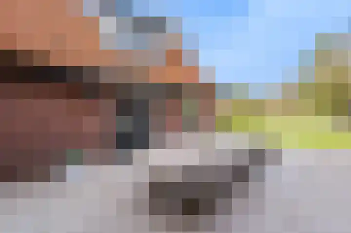 De Leemkuil 9 Laren thumbnail 38
