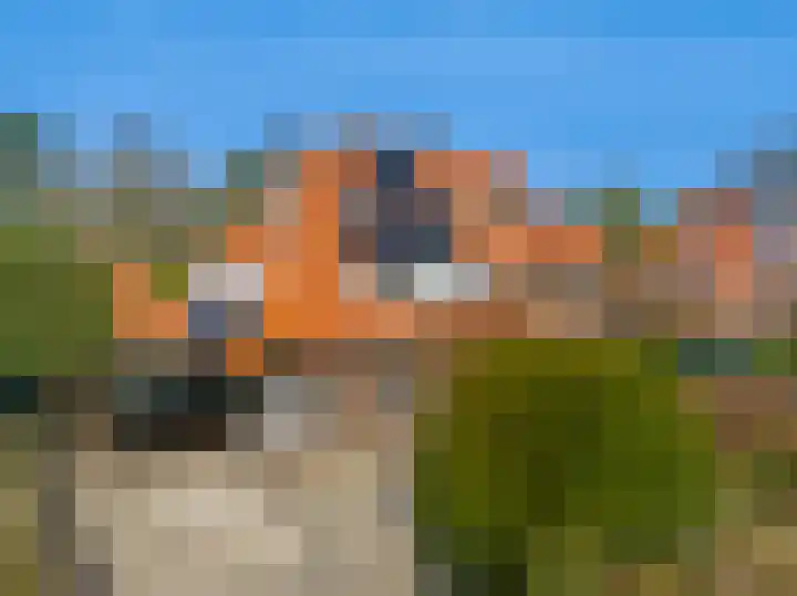 De Leemkuil 9 Laren thumbnail 4