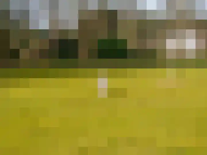 De Leemkuil 9 Laren thumbnail 41