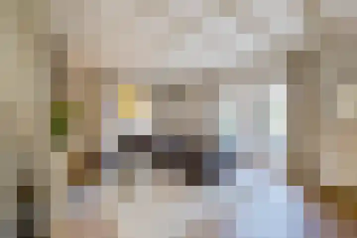 De Leemkuil 9 Laren thumbnail 6