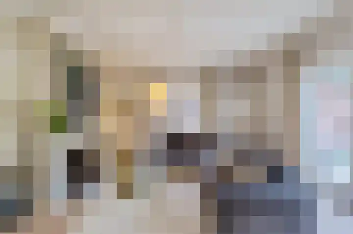 De Leemkuil 9 Laren thumbnail 7