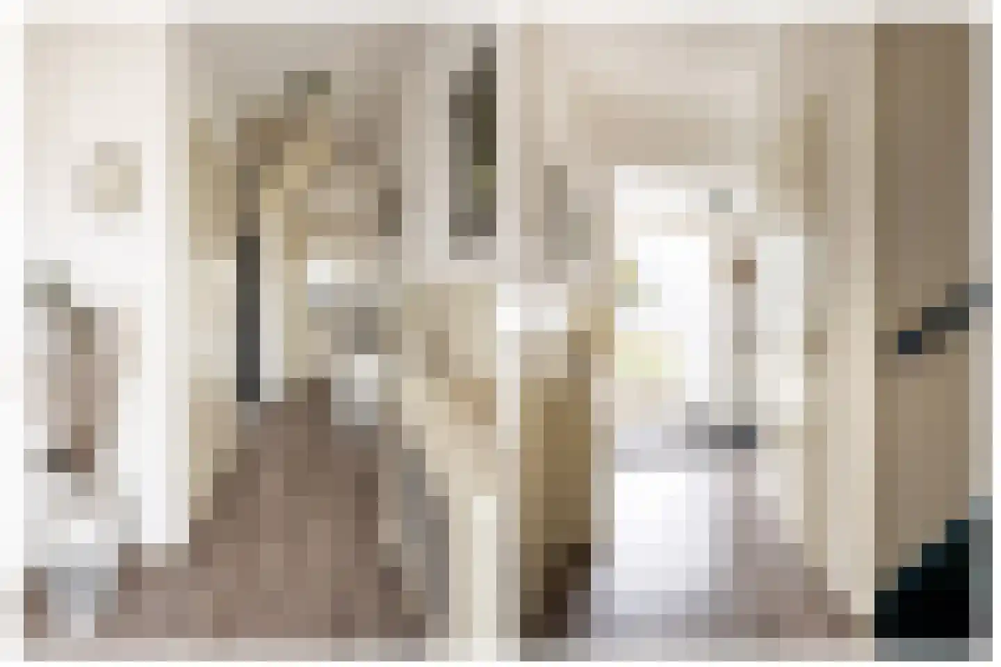 de Leemput 11 Halsteren thumbnail 11
