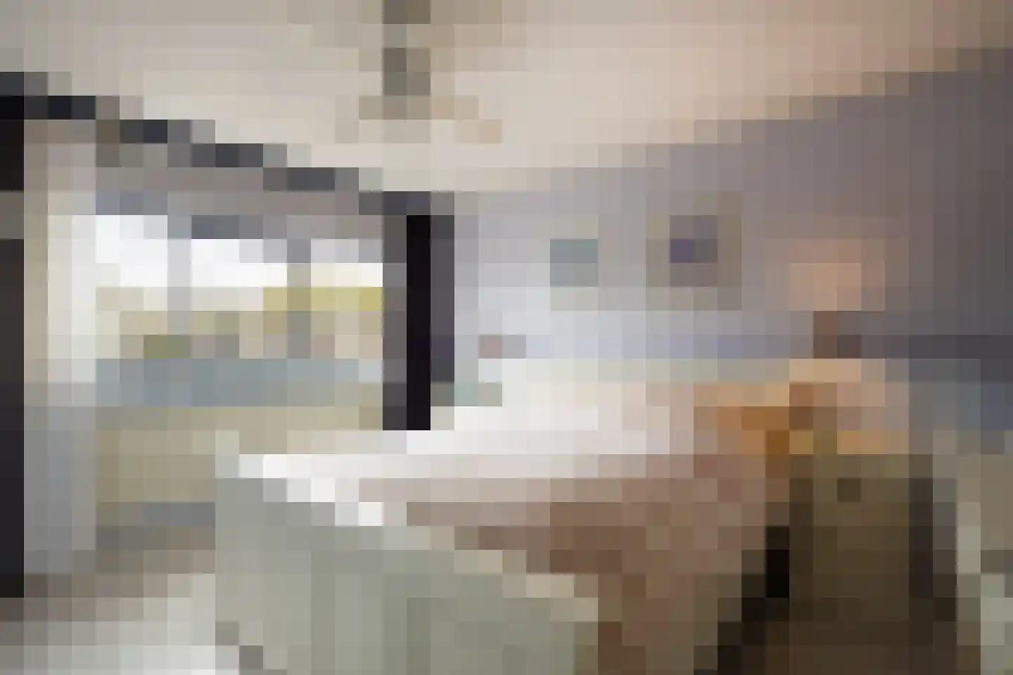 de Leemput 11 Halsteren thumbnail 12