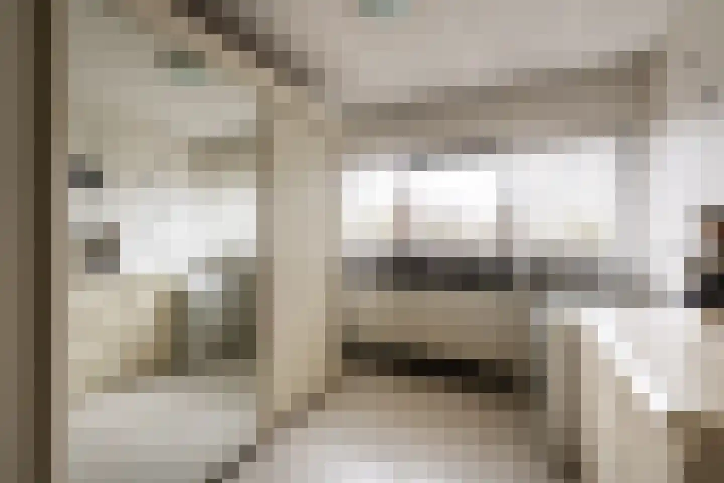 de Leemput 11 Halsteren thumbnail 16