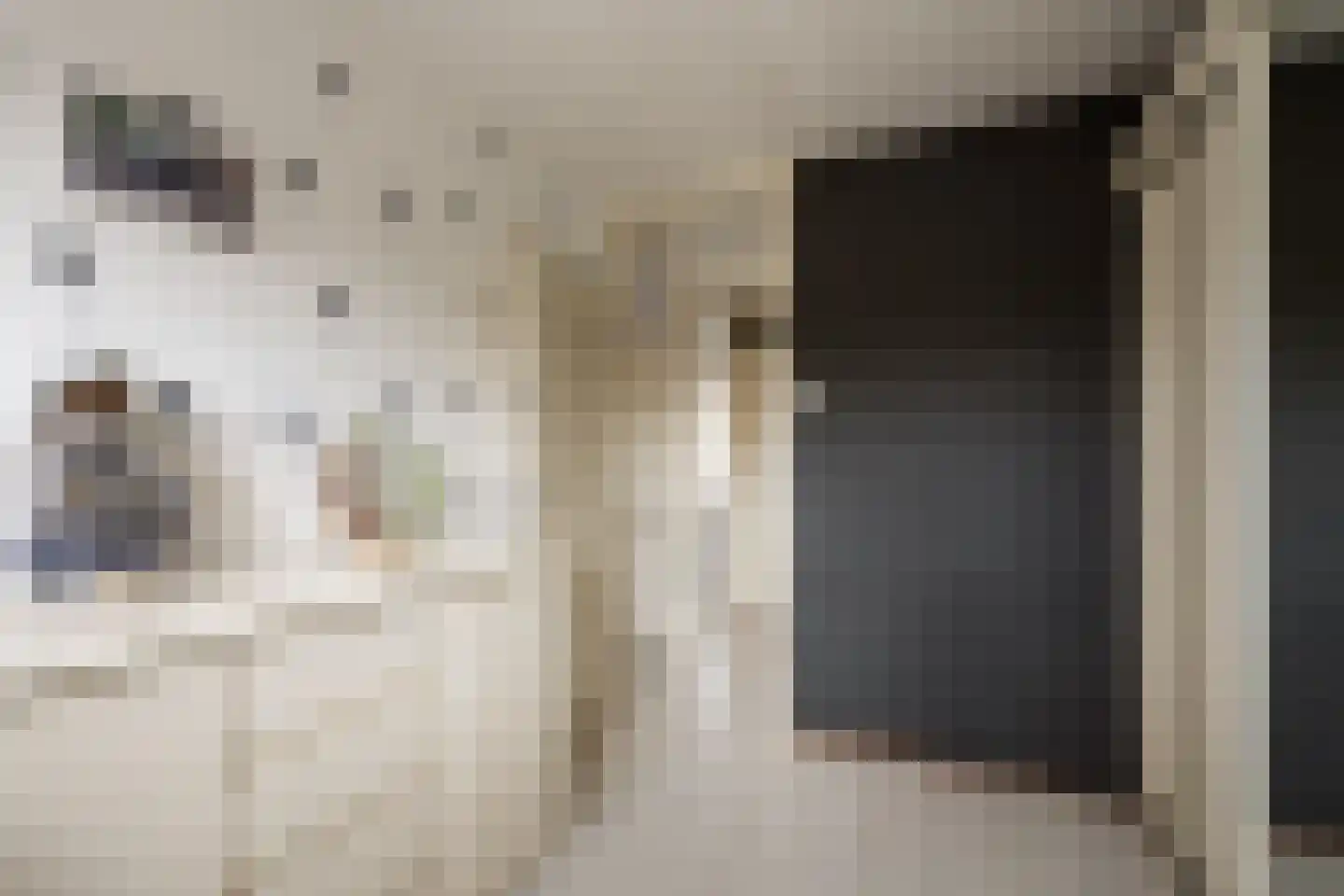de Leemput 11 Halsteren thumbnail 17