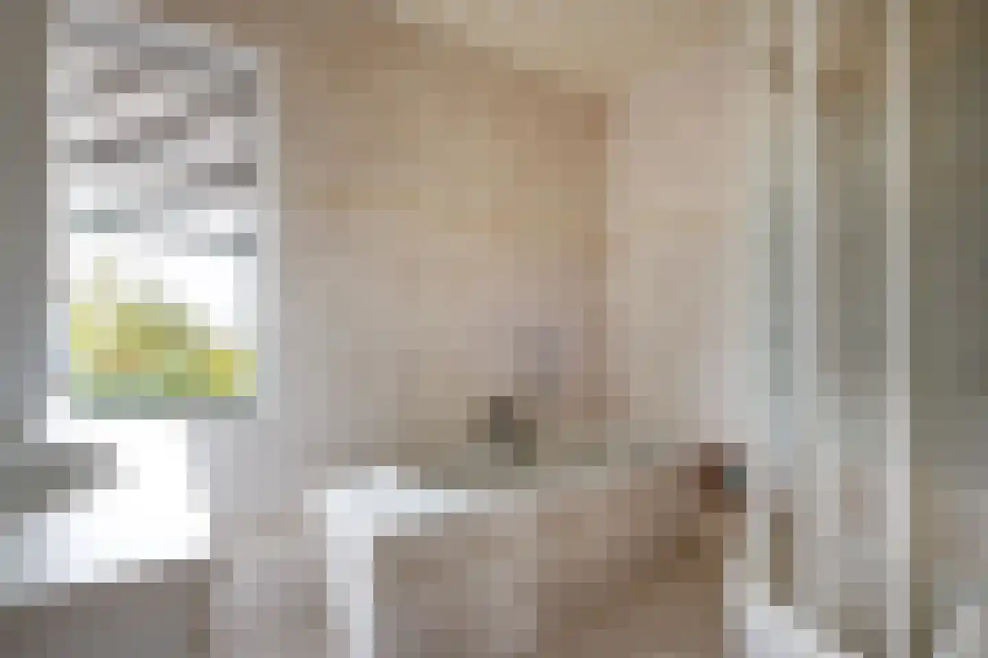 de Leemput 11 Halsteren thumbnail 18