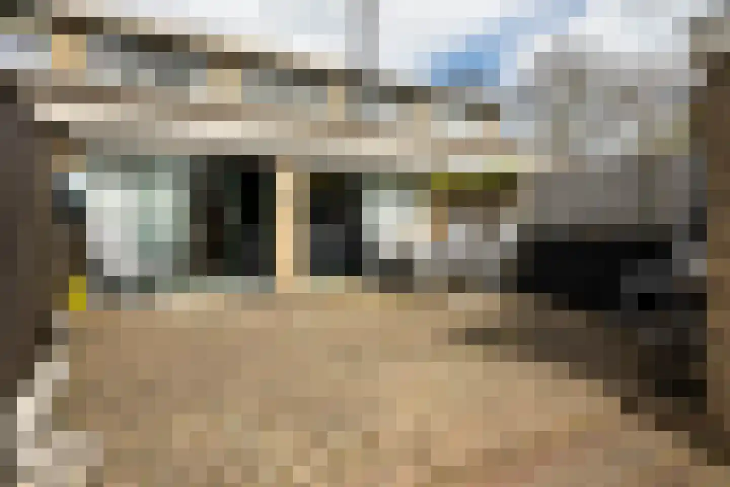 de Leemput 11 Halsteren thumbnail 21
