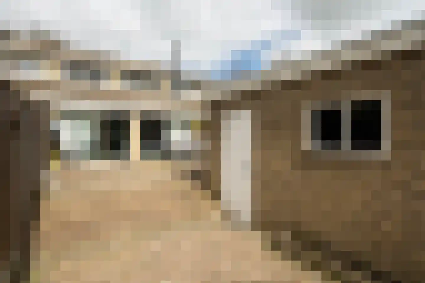de Leemput 11 Halsteren thumbnail 22