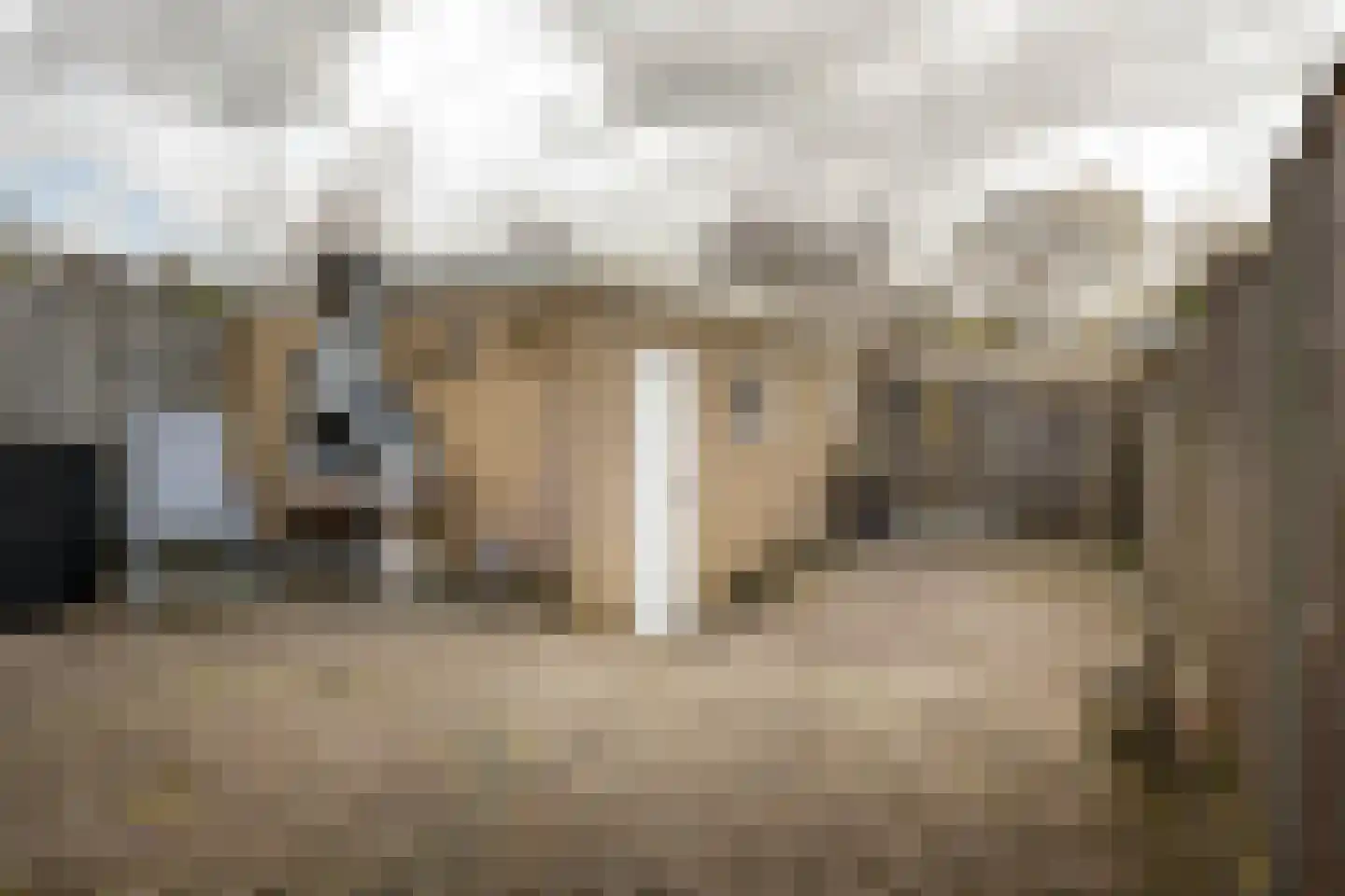 de Leemput 11 Halsteren thumbnail 25