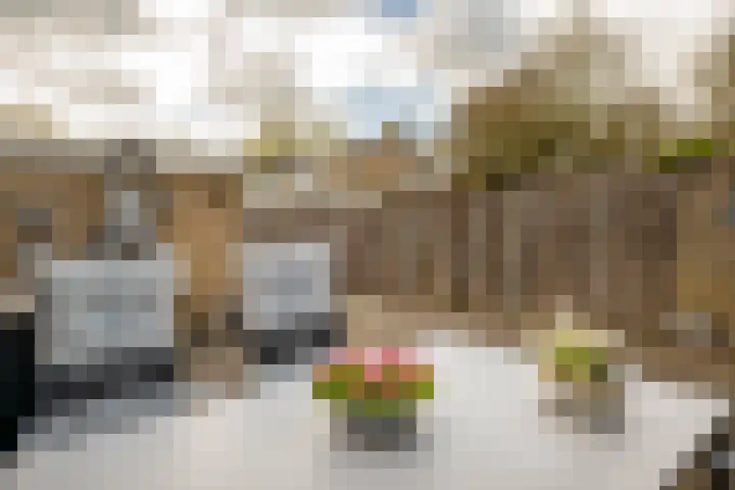 de Leemput 11 Halsteren thumbnail 26