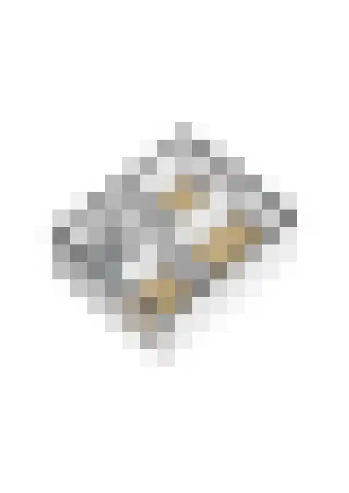 de Leemput 11 Halsteren thumbnail 37
