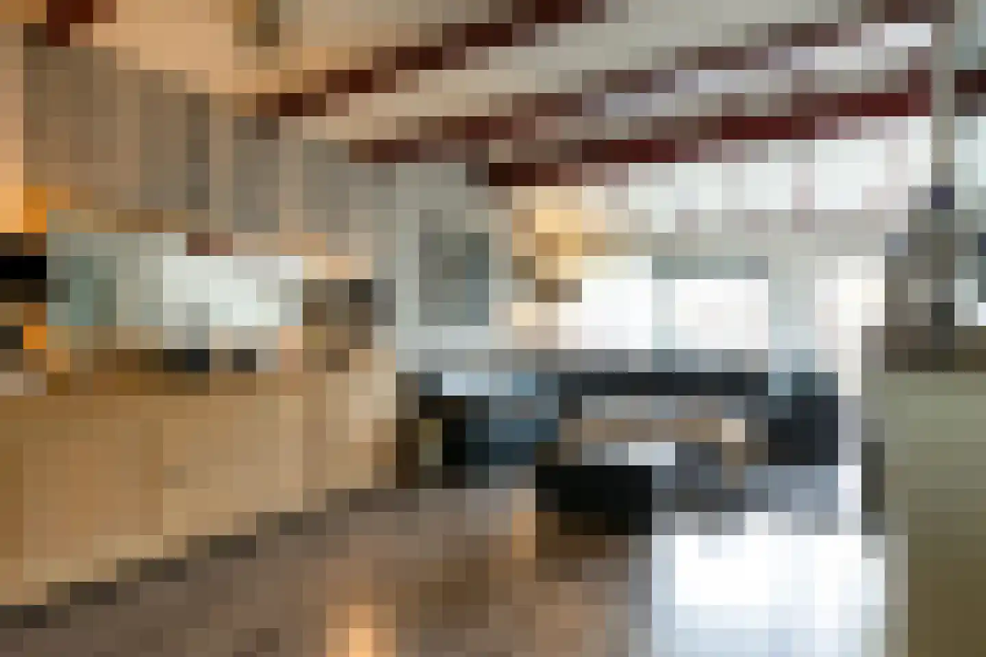 de Leemput 11 Halsteren thumbnail 4